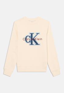 Толстовка Calvin Klein Jeans FESTIVE MONO UNISEX, Whitecap Gray/Off-White