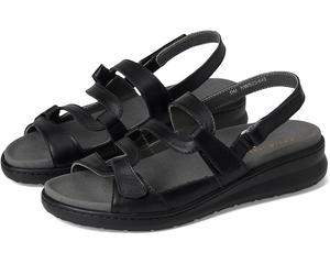 Туфли David Tate Femme, черный