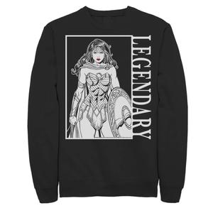 Мужской флисовый пуловер с изображением комиксов DC Wonder Woman, легендарным плакатом и рисунком Licensed Character