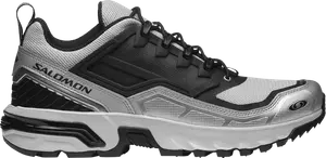 Кроссовки ACS+ FT 'Glacier Grey Silver', серебряный