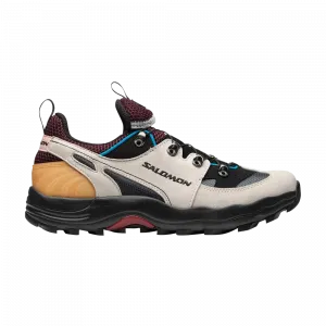 Кроссовки Raid Wind Advanced Salomon, серый