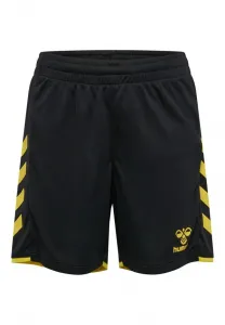 Спортивные штаны hmlcore 2.0 Hummel, Black Blazing Yellow
