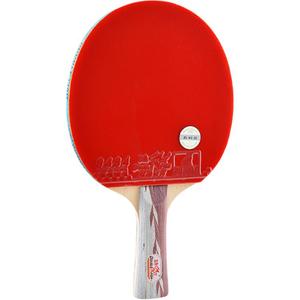 Ракетка для настольного тенниса DOUBLEFISH Unisex Solid Wood DOUBLE FISH, five-pointed star 5d[shakehand grip long handle]+giveaway gift package