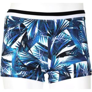 Плавки плавки Wavebreaker, синий