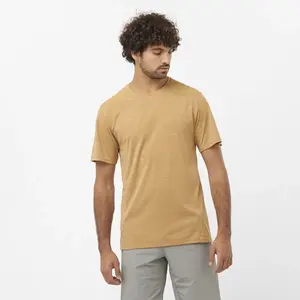 Мужская футболка Salomon Outline, коричневый