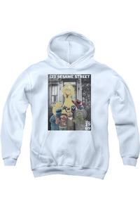 Толстовка с капюшоном Sesame Street Best Address Youth Gildan, белый