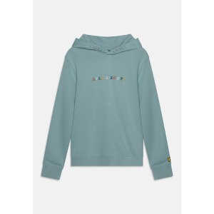 Толстовка с капюшоном MULTI COLOURED EMBROIDERED HOODIE Lyle & Scott, синий