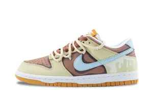 Низкие кроссовки для скейтбординга Dunk Ceramic Mist Shock Absorbers Unisex Umber Nike, Umber