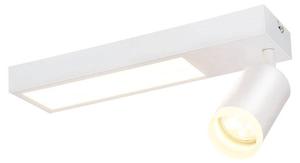 Потолочный светильник Nettlife Birkenfeld 1-flammig, белый