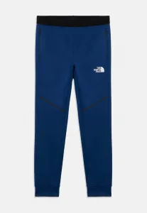 Спортивные штаны унисекс для горной атлетики The North Face, Estate Blue