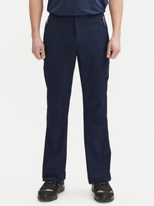 Брюки для активного отдыха стандартный крой Tamar Aulp, синий