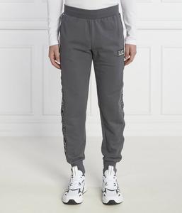 Спортивные брюки мужские Ea7 с лампасами, серый