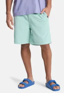 Спортивные штаны taxer Quiksilver, Blue Haze