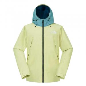 THE NORTH FACE Мужская лыжная куртка green