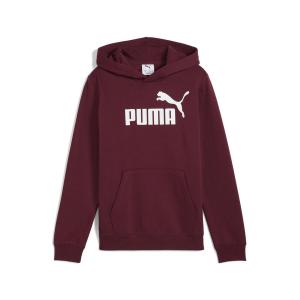 Толстовка с капюшоном из флиса с логотипом ESS No. 1 для мальчиков PUMA
