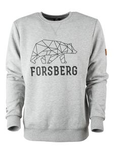 Толстовка FORSBERG Bertson mit Logo, светло-серый