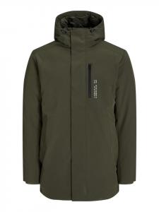 Aprel Парка в ночном лесу