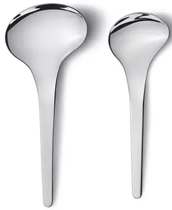 Сервировочные ложки Bloom, 2 шт. Georg Jensen, silver