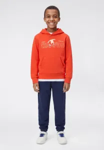 Худи с капюшоном от магазина графических товаров Champion, Light Red