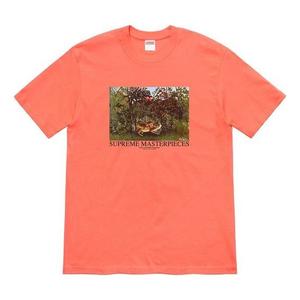 Футболка ss20 week 1 masterpieces tee Supreme, оранжевый