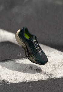 Кроссовки Nike Performance PEGASUS PLUS NIRT, Oatmeal/Black/Anthracite/Volt/Light Crimson/Metallic Silver-Coloured/Dark Grey