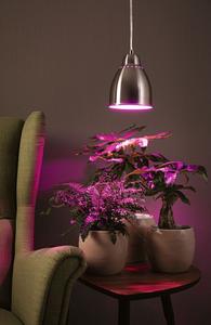 Подвесной светильник Paulmann Neordic Hilla макс. 1x40Вт E27 матовое железо 230В металл, серебро