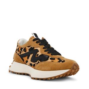 Кроссовки Steve Madden Campo Sneaker, Leopard/Tan