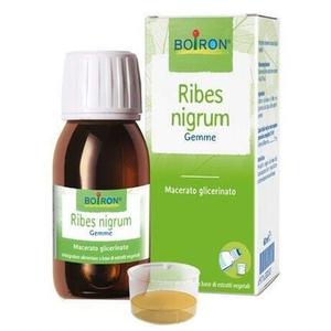 Boiron Ribes Nigrum Gemme Macerato Glicerinato 60мл