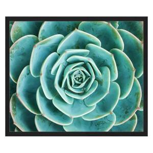 Картина Any Image Arrangement of the Succulents, 62x52x2,6 см