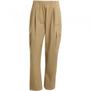 Штаны Terrex Xploric Adidas, цвет cardbo