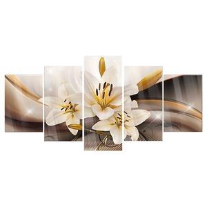 Картина из акрилового стекла Artgeist Shiny Lily, 100 см, коричневый