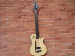 Бас-гитара Godin A5 Ultra Fretless A/E с чехлом, SF
