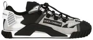 Кроссовки Dolce & Gabbana Dolce & Gabbana NS1 'Black White', черный