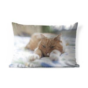 Подушка для улицы MuchoWow - кошка - кровать - покрывало - для девочек - дети - дети - ребенок - 50x30 см - защита от атмосферных воздействий - подушка для отдыха - чехол для подушки - хлопчатобумажная ткань - декоративные чехлы на подушки, мультиколор