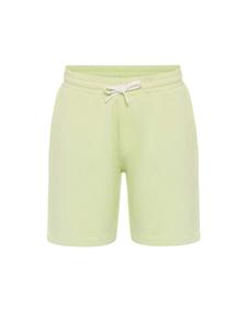 Обычные брюки Williot, пастельно-зеленый