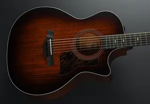 Taylor 324ce Баритон-6 LTD