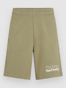 Шорты O'Neill The Future Surf Society Shorts, avery fern