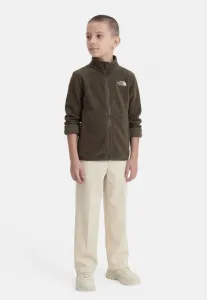 Куртка-Мешок teen glacier на молнии, флисовая куртка The North Face, New Taupe Green