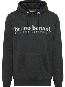 Толстовка Bruno Banani CARVER, Grey/Anthracite/Light grey