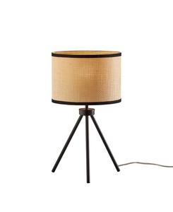 Настольная лампа Raven 21,5 дюйма Adesso, черный