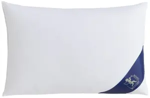 Пуховая подушка SPESSARTTRAUM "ПЕРВЫЙ КЛАСС", наполнитель: 90% пух, 10% перо, чехол: 100% хлопок, (1 штука), подушка доступна в разных размерах, гипоаллергенная 60х60 см, белый