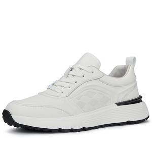 Низкие повседневные туфли мужские LINSEN, White