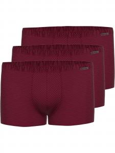 Ammann Боксеры 'Cotton & More' в цвете Bordeaux