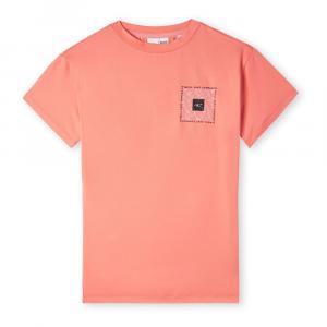 Футболка O´neill Rutile Long, оранжевый