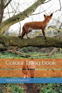 Colour filling book (Independently published)
