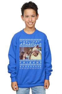 Толстовка Fair Isle Holiday Armadillo Friends, синий