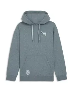 Детская толстовка с капюшоном и принтом "полярное погружение" - для подростков постарше. Goat Usa, серый