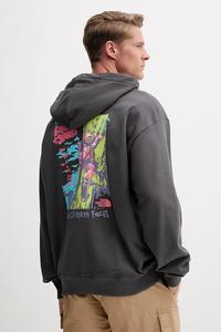 Хлопковая толстовка Expedition Celebration The North Face, серый