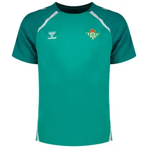 Футболка с коротким рукавом Hummel Real Betis 25/26 Lead 2.0, зеленый