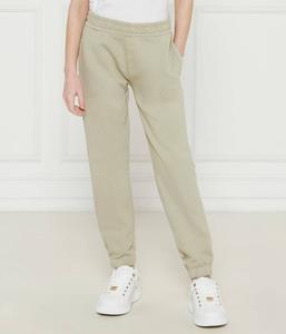 Брюки Regular fit Guess, зеленый